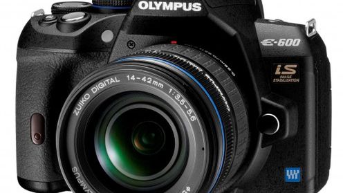 Kryzysowy Olympus E-600 1
