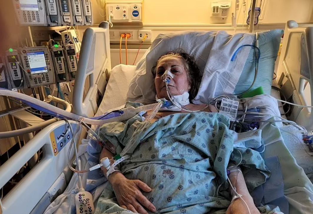 Przeszczep u Tannez Ameli zakończył się sukcesem