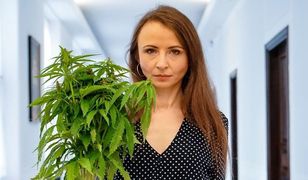 Wrocław. "Zalegalizujcie to". Parlamentarzyści walczą o depenalizację marihuany