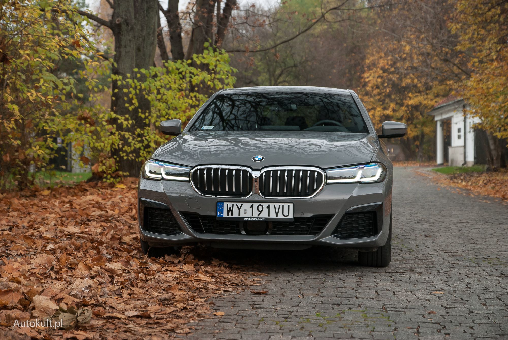 BMW 530e (G30) xDrive po liftingu