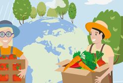 Dwóch na trzech Polaków przyznaje się do marnowania jedzenia - raport Banków Żywności