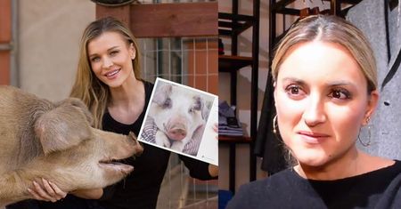 Szostak pójdzie w ślady Krupy? "Zaadoptowałabym lwa"