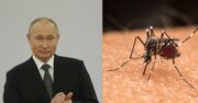 To wymyślili Rosjanie. Piszą o "śmiercionośnych komarach"