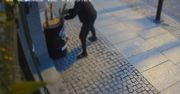 Walka z kaktusem o 4 rano. "Co trzeba mieć w głowie?" Nagranie z Torunia