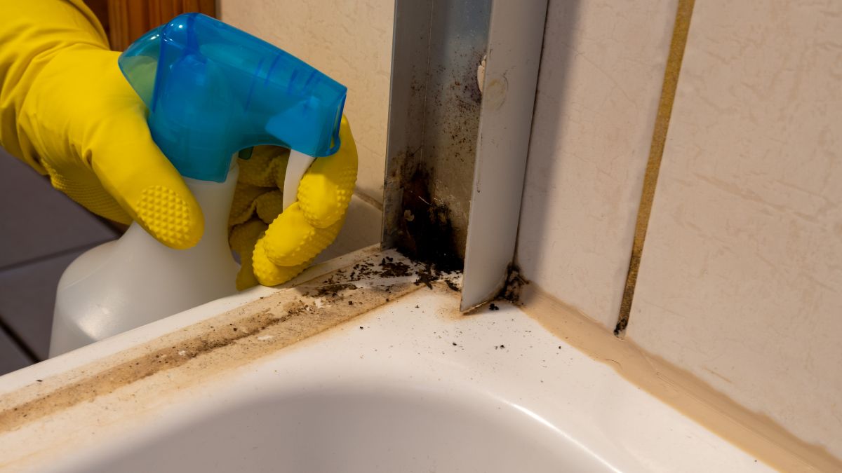 Jak pozbyć się pleśni z łazienki?