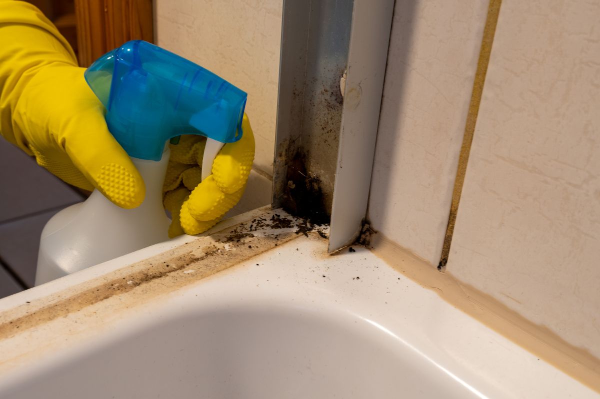 Tackle bathroom mould: Effective home remedies unveiled
