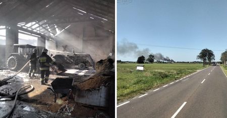 Krowy spłonęły żywcem. Ogromny pożar na Lubelszczyźnie