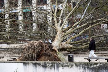 Orkan Kristin sieje zniszczenie w Portugalii. Rośnie liczba ofiar