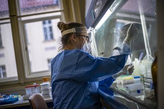 Mabion chce dołączyć do prac nad lekiem na COVID-19. Rozpoczął rozmowy z Niemcami