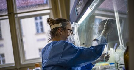 Mabion chce dołączyć do prac nad lekiem na COVID-19. Rozpoczął rozmowy z Niemcami