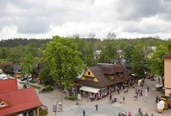 Zakopane. Stado łani spacerowało środkiem ulicy