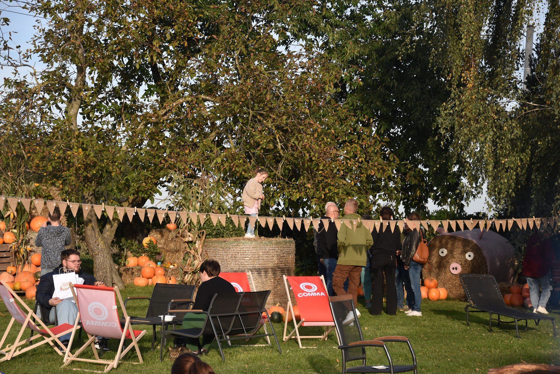 Dyniowy Ogród przyciągnął wielu gości