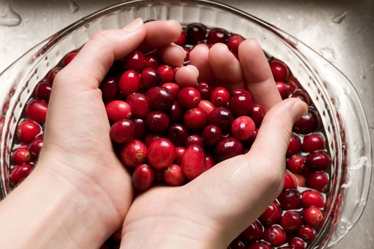 Cranberry - Delicacies