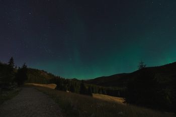 Czy zorza polarna może wpływać na zdrowie? Oto co mówią badania