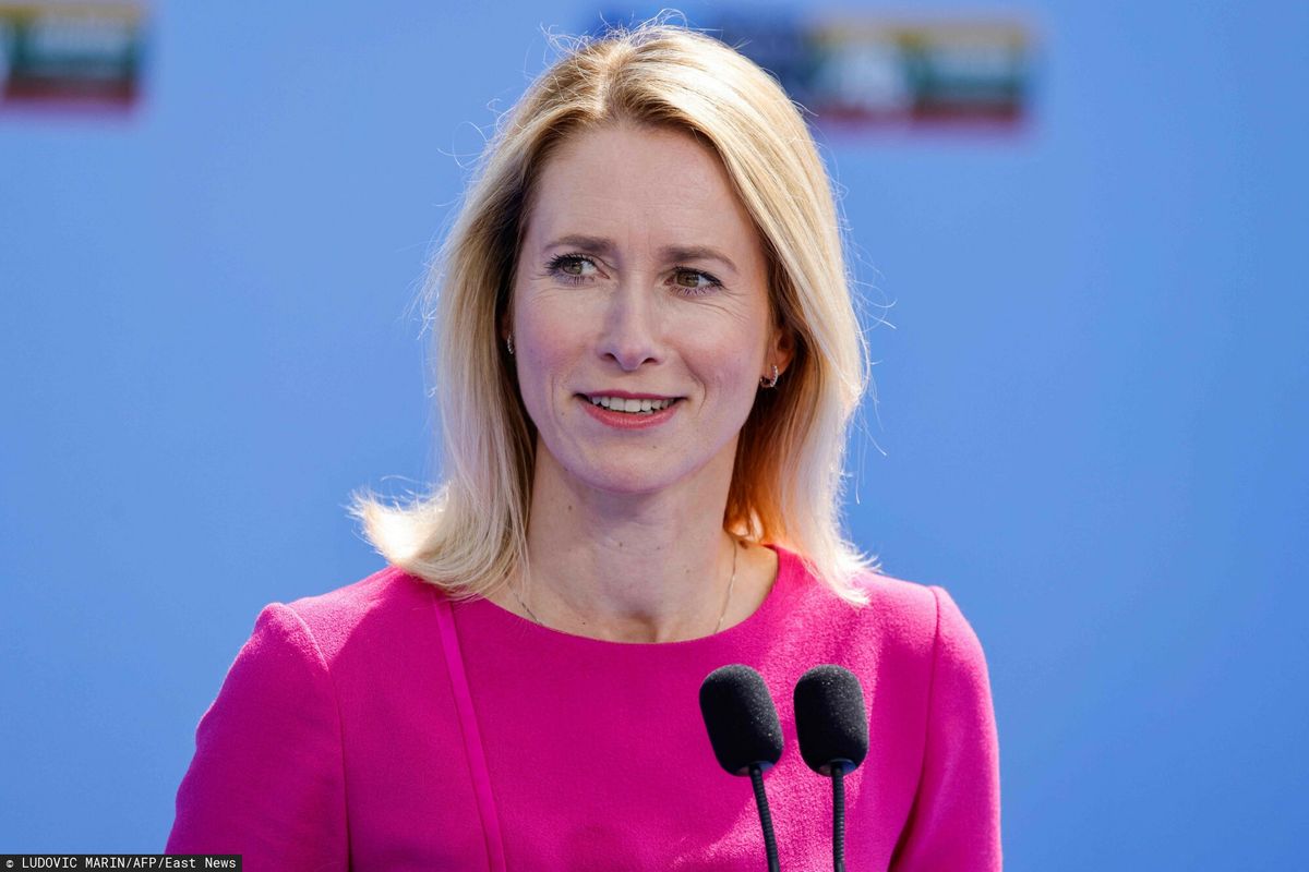 Wysmiala Putina. "Specjalna operacja nominacyjna" - WP Wiadomosci