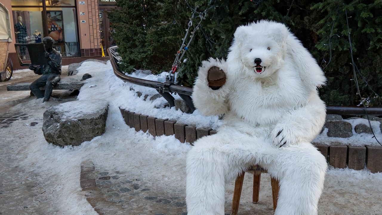Misiek z Krupówek: w Zakopanem nikt się nie nudzi