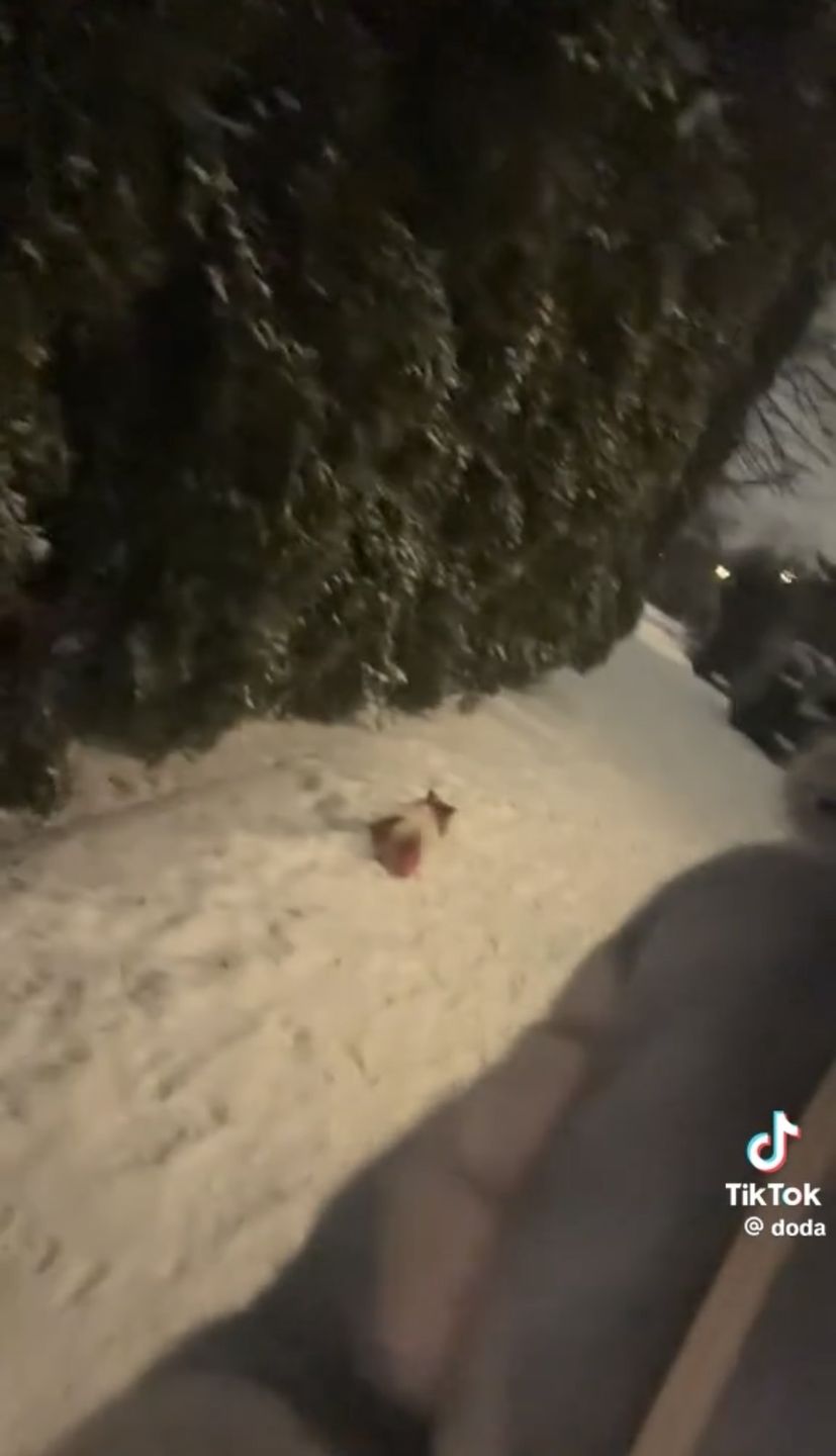 Doda o kulisach konfliktu ze Smolastym