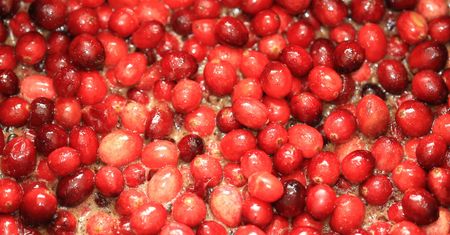 Twoja wątroba pokocha te produkty. Włącz do diety, a szybko poczujesz różnicę