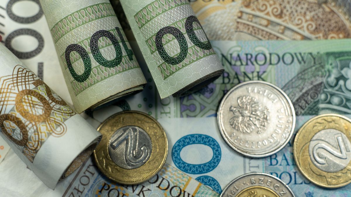 Background with money and coins. Lot of various polish currency. Polish zloty banknotes. Polish money. PLN
Photo can be used to for greeting card, flyer, invitation, poster, brochure, banner calendar, brochure, presentation.
muchomor