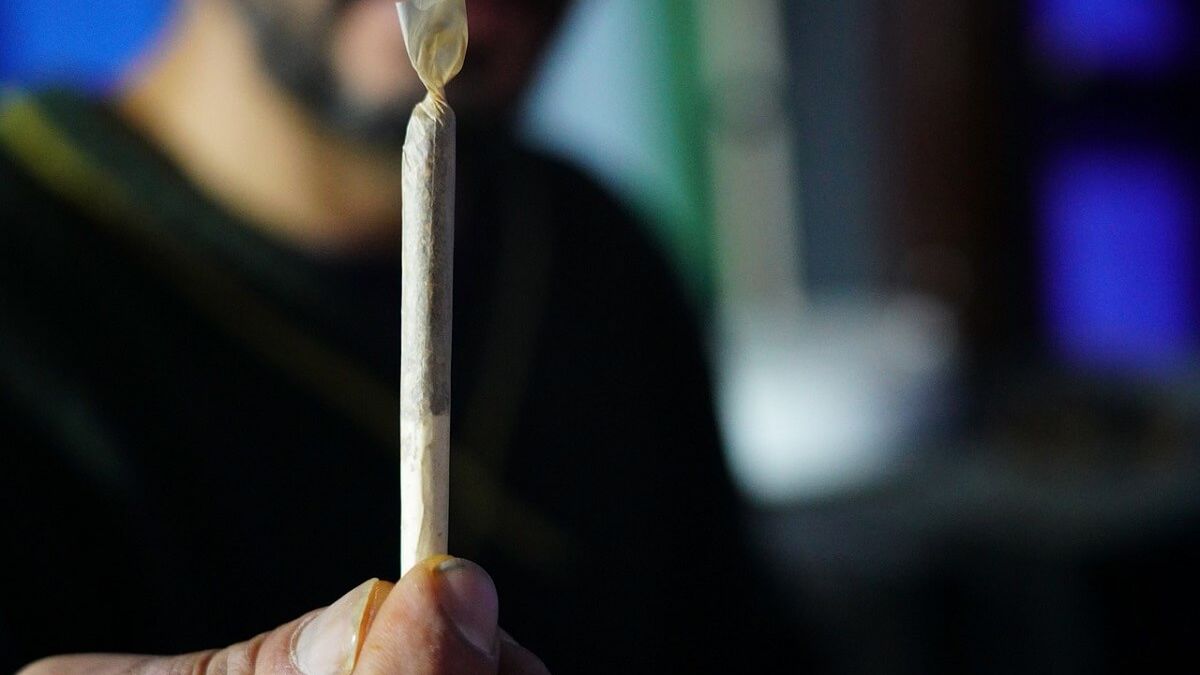 Palenie konopi, Marihuana