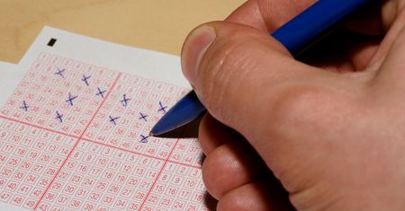Chcesz trafić w Lotto? Sprawdź, jakie liczby padają najczęściej