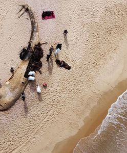 Wyciek ropy w Izraelu. Zamknięto plaże. "Największa katastrofa ekologiczna kraju"