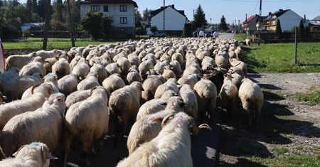 Walczą o turystów jak mogą. Darmowe atrakcje i niższe ceny