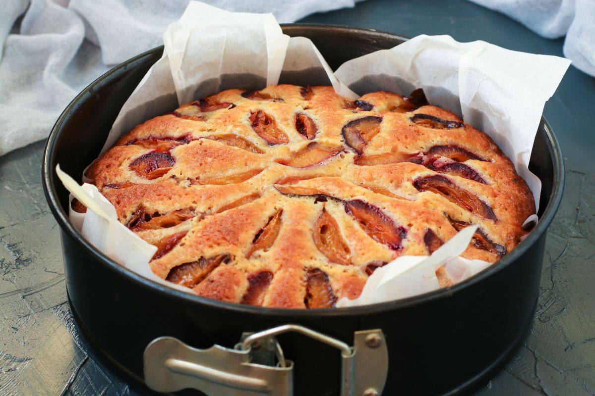 Plum cake - Delicacy