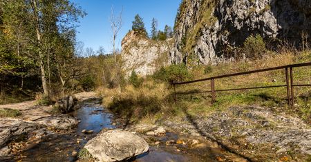 Wąwóz Homole – Rezerwat Przyrody i Perła Małych Pienin