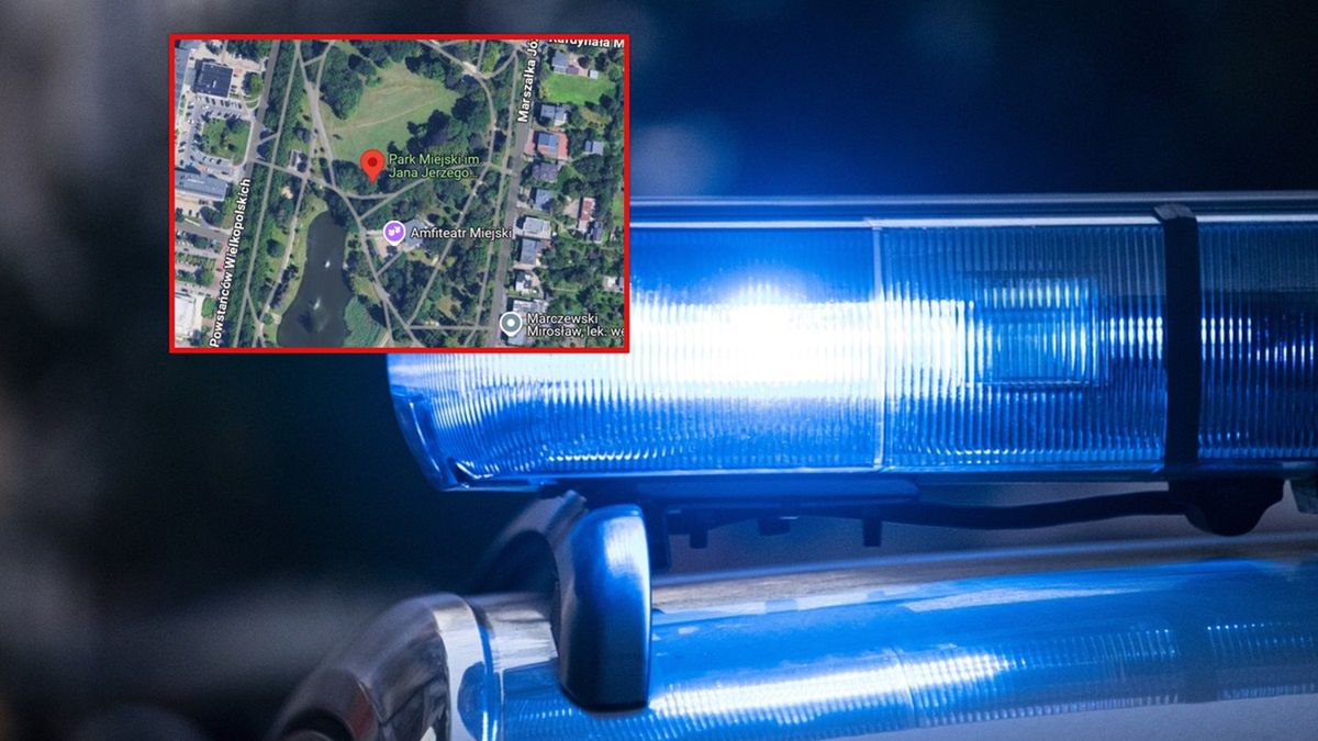 Do pobicia doszło w parku w Ostrowie.