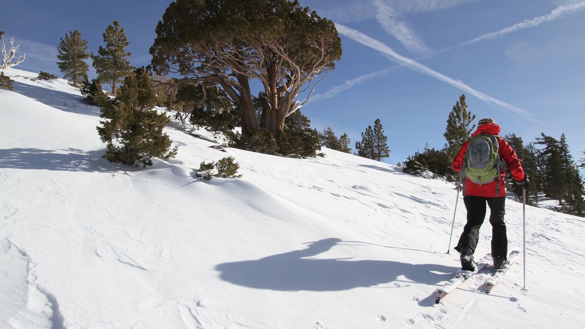 Trudną decyzję w kwestii ważnej dla narciarzy podjęły również Włochy.