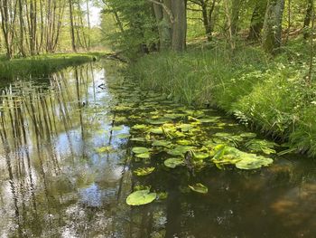 Gdzie z Leszna w 15 minut na wycieczkę? Mórkowski Jar budzi się do życia