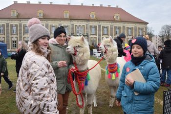 Lubuskie: Imprezy na weekend. Finały WOŚP i nie tylko