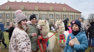 Lubuskie: Imprezy na weekend. Finały WOŚP i nie tylko