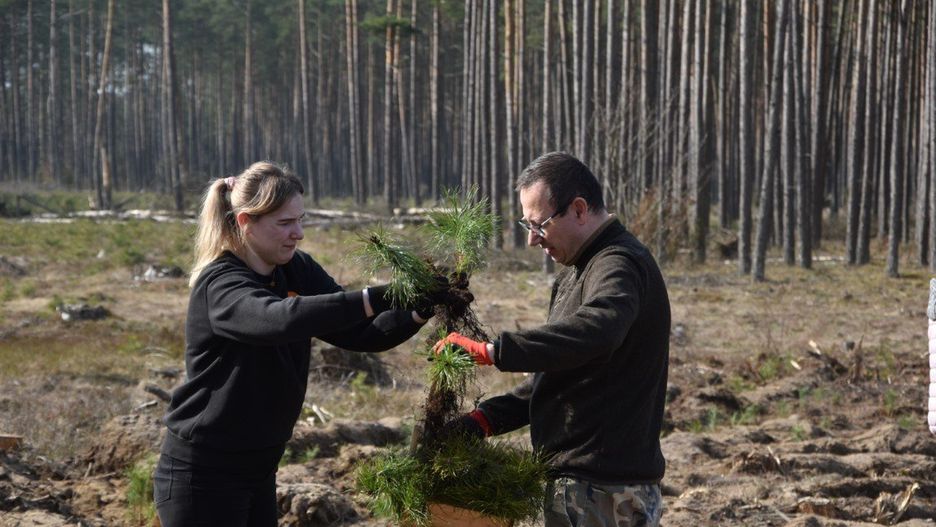 Lasy pod Pleszewem będą tętnić życiem