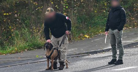 "Tryb przetrwania". Demaskują kolejny ruch Borysa