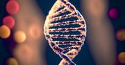 Geny odziedziczone po neandertalczykach odpowiedzialne za większą wrażliwość na ból
