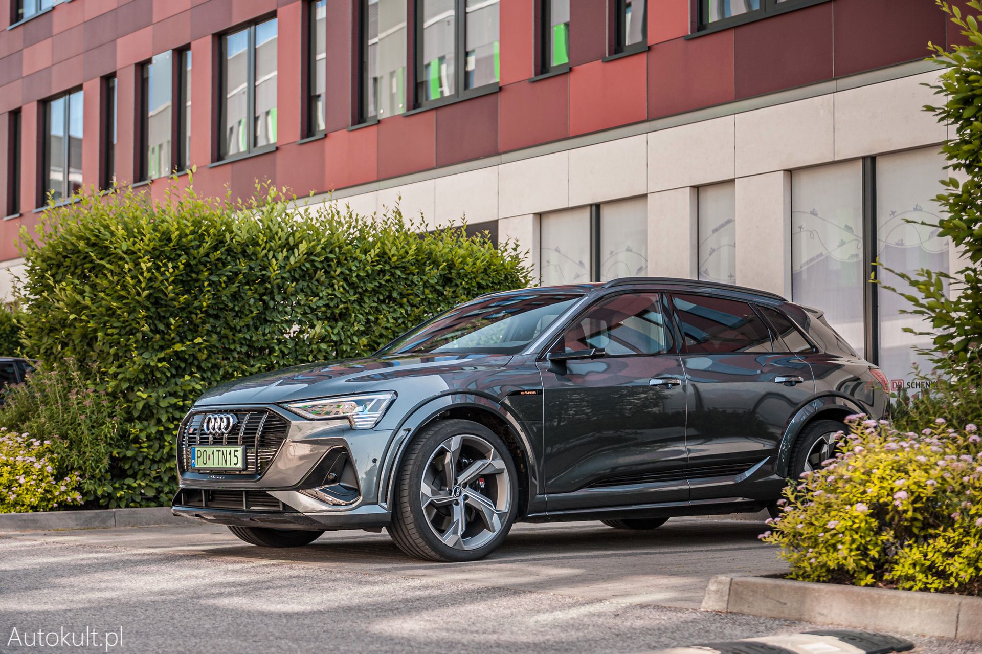 Zdjęcie ilustracyjne do artykułu