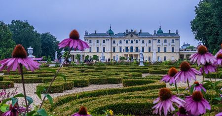 Pogoda w Białymstoku. Prognoza na poniedziałek 8 grudnia. Miejscami zamglenia