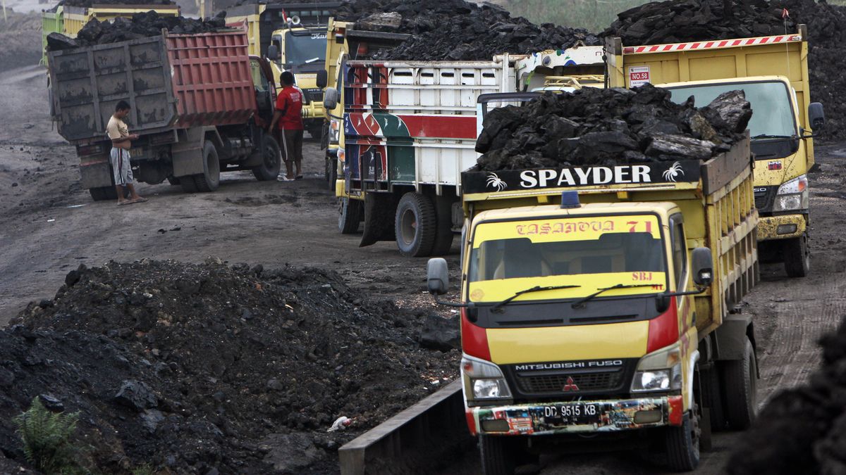 Kopalnia węgla w Indonezji