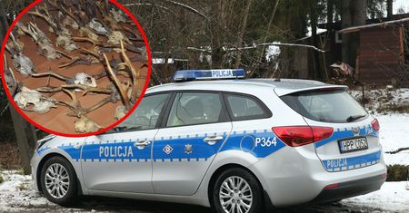 Nielegalny myśliwy. Policjanci nie spodziewali się tego, co zobaczyli