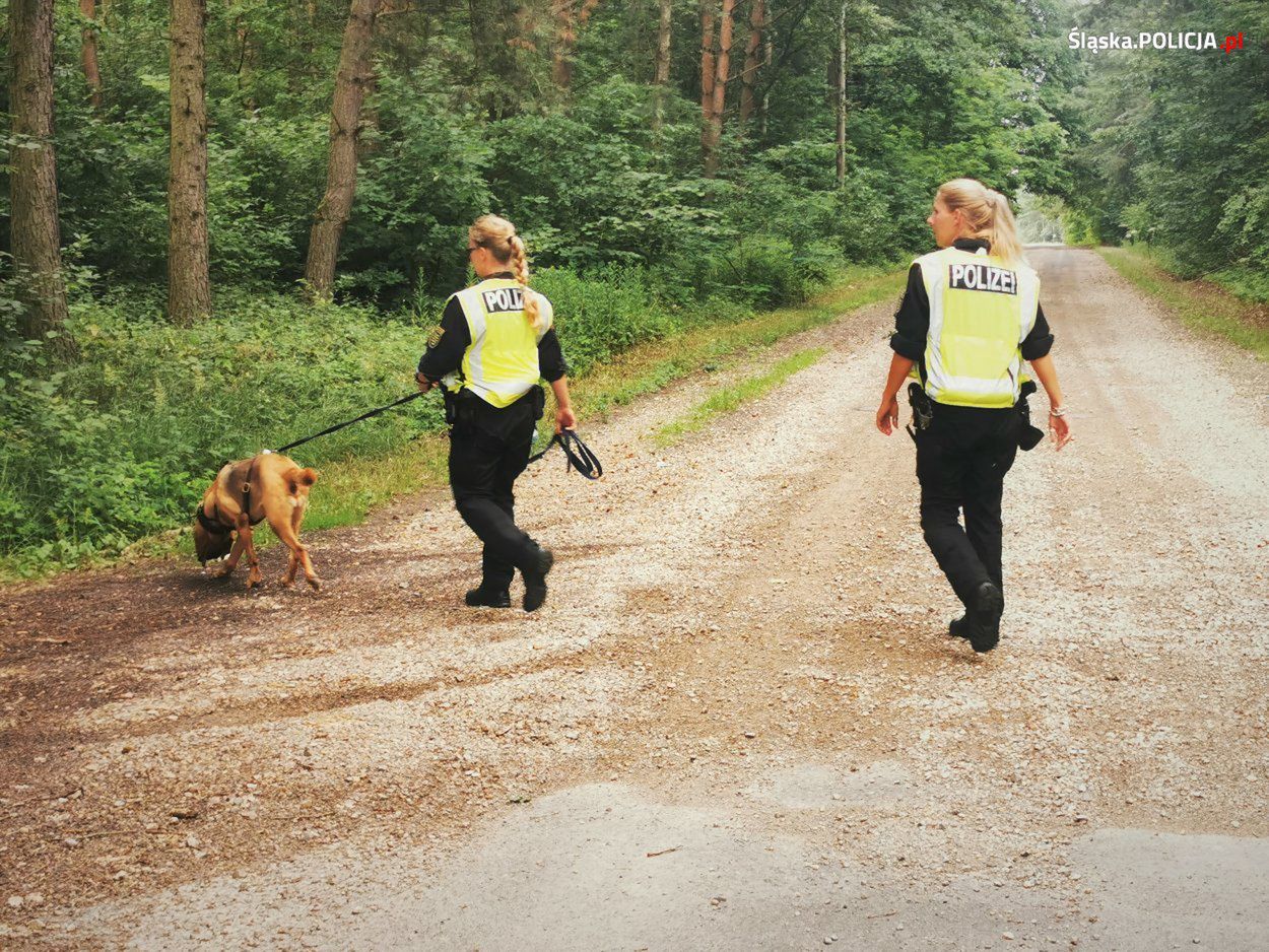 Policja