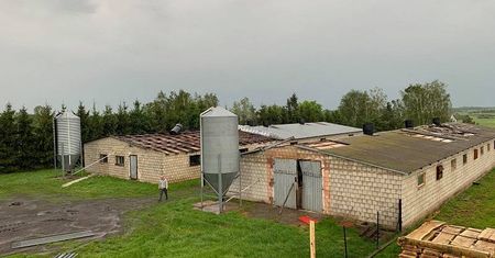 Trąba powietrzna koło Ostrowa Lubelskiego. Z dwóch chlewni zerwało dachy