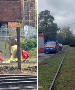 68-latek zginął na torach. Maszynista pod wpływem alkoholu