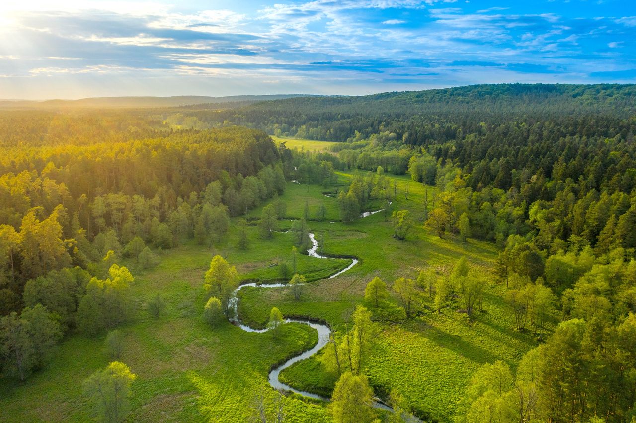 Magiczne miejsce w naszym kraju. Nazywają je "polską Toskanią"