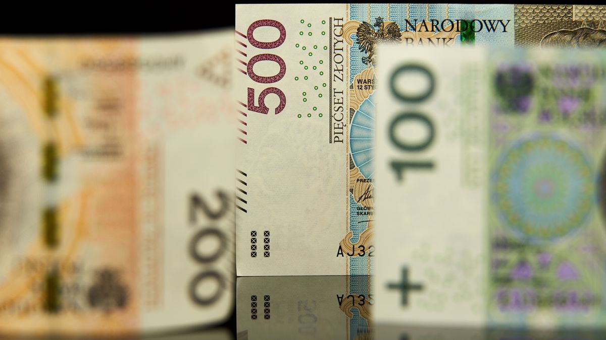 sto, zygmunt i stary, nowy banknot, jan iii sobieski, plik banknotów, banknoty, biznes, gotówka, kryzys, waluta, gospodarka, defraudacja, inflacja, mamona, parking, emerytura, pln, polska waluta, bieda, zysk, zasoby, bogate, odbicie lustrzane, odbicie