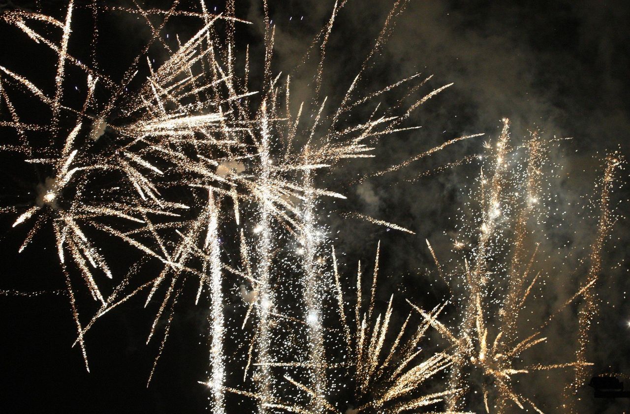 Poznań: BitterSweet Festival: Organizatorzy zadowoleni ze sprzedaży biletów. Co z ochroną przyrody? "Nie powinno być pokazów pirotechnicznych"