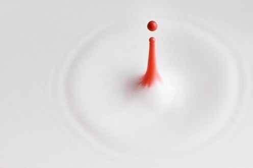 Ułamek sekundy zatrzymany w kadrze - najlepsze fotografie High Speed 10