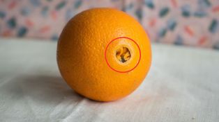 Sprawdź, zanim kupisz. Taki otwór to jasny znak