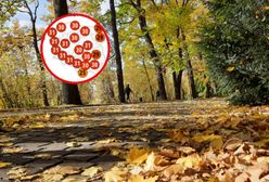 Zacznie się już lada moment. Mamy najnowszą prognozę. Idzie zmiana